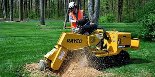 stump removal
